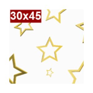 Saco de Presente Tr c/50 30x45 Star Gala R-949