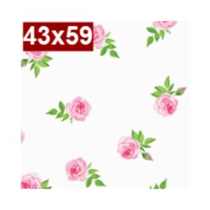 Saco de Presente Tr c/50 43x59 Mini Rosas R-955
