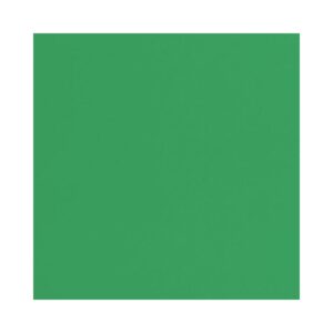 Papel Cartão VMP 48X66 C/20fls Verde R-42024202