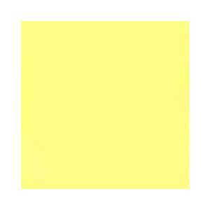 Papel Cartolina Bignardi AM 100Fls 50x66 R-4802