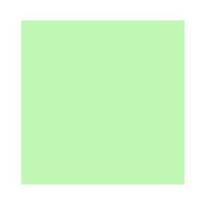 Papel Cartolina Bignardi VD 100Fls 50x66 R-4804