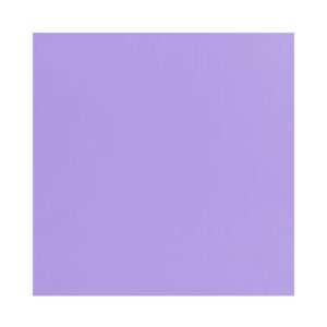 Papel Cartão VMP 48X66 C/20fls Lilas R-42024221