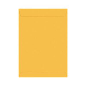 Envelope Ouro Foroni 260x360 80g C/100un 182755-2