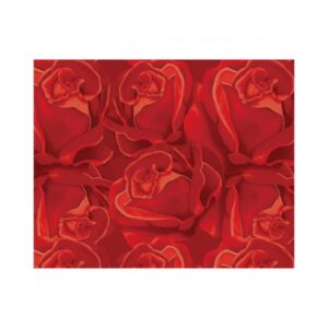 Papel Presente VMP 50x60 c/20f Rosa/ Verm Ref15316