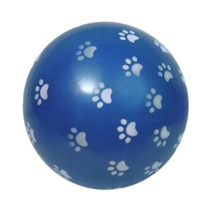 Bola Inflavel Canarinha Can Pop Patinhas C/6 R426