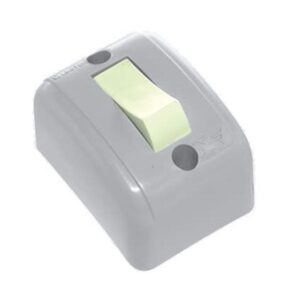 Interruptor 1Tecla Sobrep 10A 250V CZ Perlex R-180