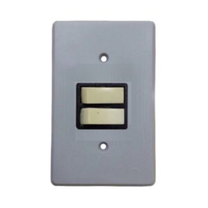 Interruptor 2 Tecla Simples 10A 250V Perlex R-1382