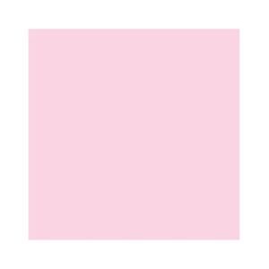 Emborrachado Comum Rosa Bebe C/10 Silver R-EVL006