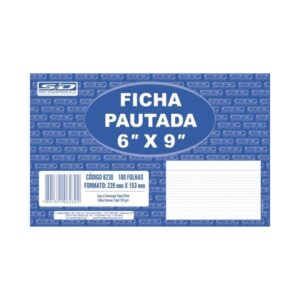Ficha Pautada 6x9 Nº4 100Fl 229x153 P/100 R-4041