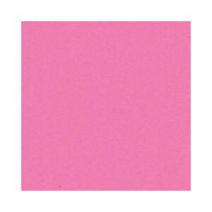 Emborrachado Comum Pink C/10 Silver R-EVL011