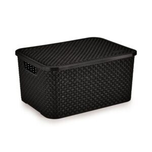 Cesto Organizador Rattan Pt C/Tamp Nitron R-069/P